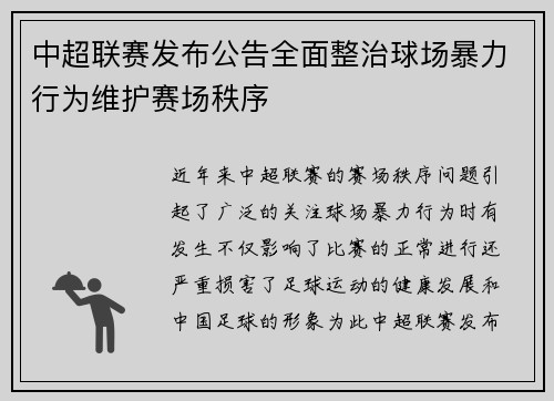 中超联赛发布公告全面整治球场暴力行为维护赛场秩序