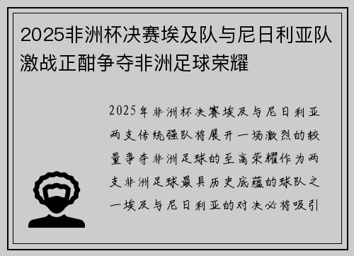 2025非洲杯决赛埃及队与尼日利亚队激战正酣争夺非洲足球荣耀